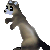 *