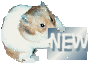 new