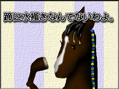 34KB